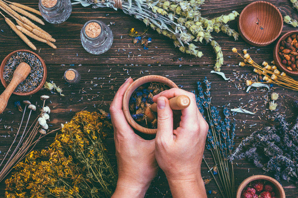 A Visionary Upholding India’s Ayurvedic Legacy