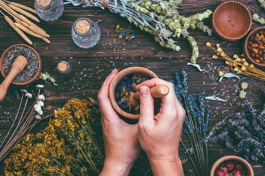 A Visionary Upholding India’s Ayurvedic Legacy