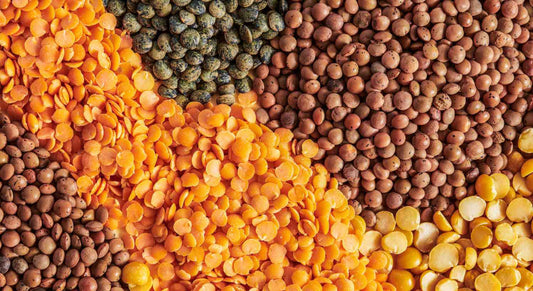 Lovin' Lentils: The Mighty Legume with Health in Every Bite!" Vitalmends