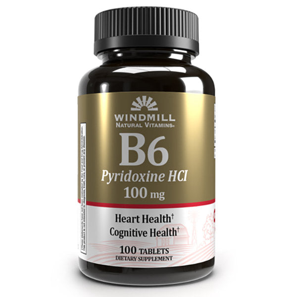WINDMILL Vitamin B-6 100MG 100 TABLET