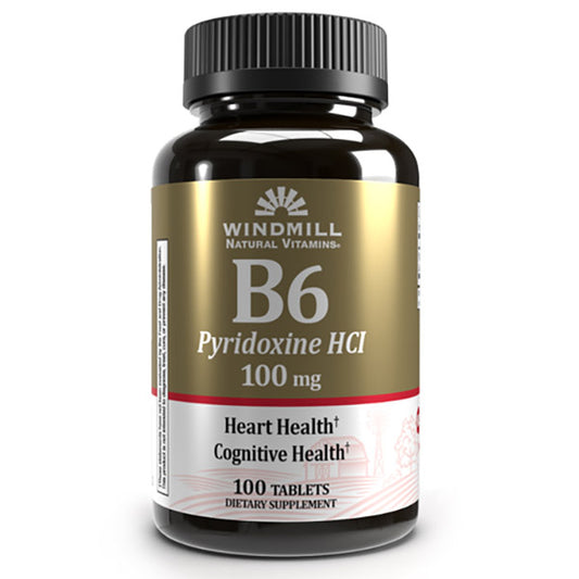 WINDMILL Vitamin B-6 100MG 100 TABLET