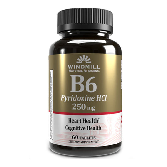 WINDMILL Vitamin B-6 250MG 60 TABLET
