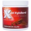 XyloBurst Sugar Free Cinnamon Gum 100 Pieces