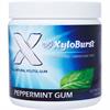 XyloBurst Sugar Free Peppermint Gum 100 Pieces