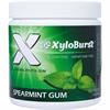 XyloBurst Sugar Free Spearmint 100 Pieces