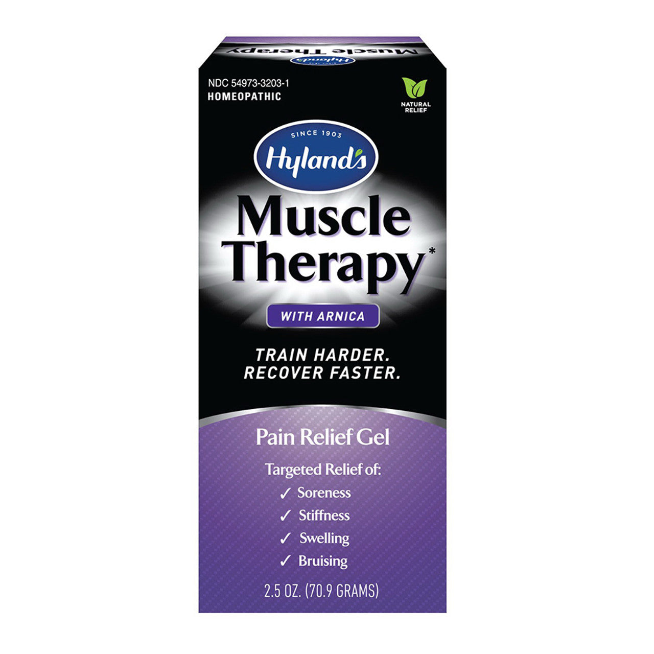 Hylands Muscle Therapy with Arnica Pain Relief Gel, 2.5 Oz